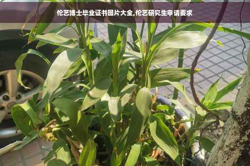 伦艺博士毕业证书图片大全,伦艺研究生申请要求