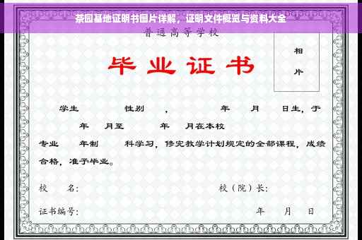 茶园基地证明书图片详解，证明文件概览与资料大全