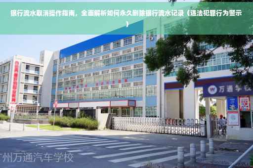 银行流水取消操作指南，全面解析如何永久删除银行流水记录（违法犯罪行为警示）