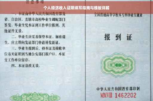 个人经济收入证明填写指南与模板详解