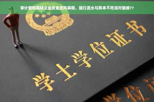 审计查账揭秘企业资金流向真相，银行流水与账本不符应对策略??