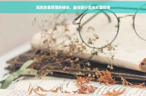 高效资金管理的秘诀，最佳银行流水方案指南
