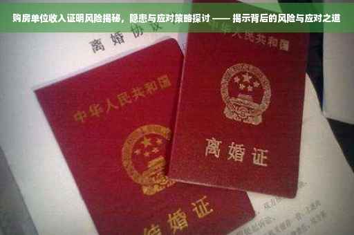 购房单位收入证明风险揭秘，隐患与应对策略探讨 —— 揭示背后的风险与应对之道