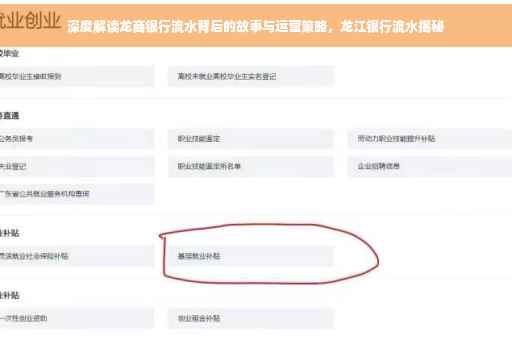 深度解读龙商银行流水背后的故事与运营策略，龙江银行流水揭秘