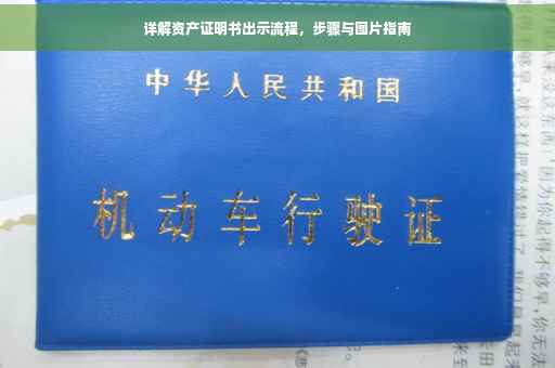详解资产证明书出示流程，步骤与图片指南