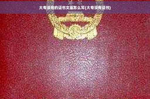 大专没用的证书文案怎么写(大专没有证书)