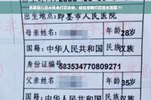 西藏银行流水账单打印攻略，轻松掌握打印流水流程 ??