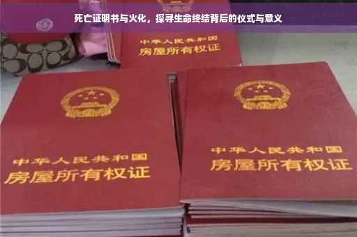 死亡证明书与火化，探寻生命终结背后的仪式与意义