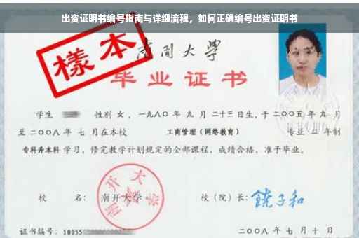 出资证明书编号指南与详细流程，如何正确编号出资证明书
