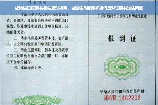 货物进口证明书丢失应对指南，自媒体角度解析如何应对证明书遗失问题