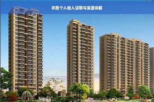 农民个人收入证明与来源详解