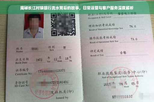 揭秘长江村镇银行流水背后的故事，日常运营与客户服务深度解析