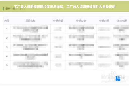 工厂收入证明模板图片展示与详解，工厂收入证明模板图片大全及说明
