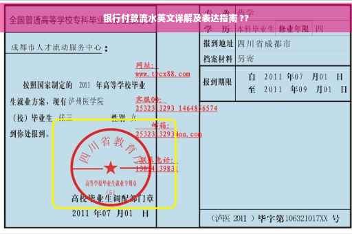 银行付款流水英文详解及表达指南 ??