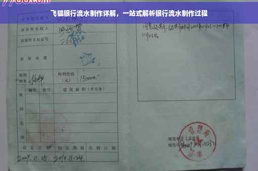飞狐银行流水制作详解，一站式解析银行流水制作过程