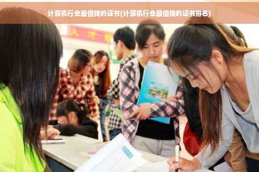 计算机行业最值钱的证书(计算机行业最值钱的证书排名)