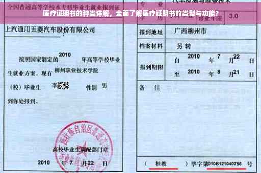 医疗证明书的种类详解，全面了解医疗证明书的类型与功能?