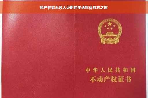 脱产在家无收入证明的生活挑战应对之道