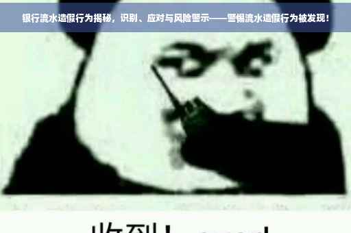 银行流水造假行为揭秘，识别、应对与风险警示——警惕流水造假行为被发现！