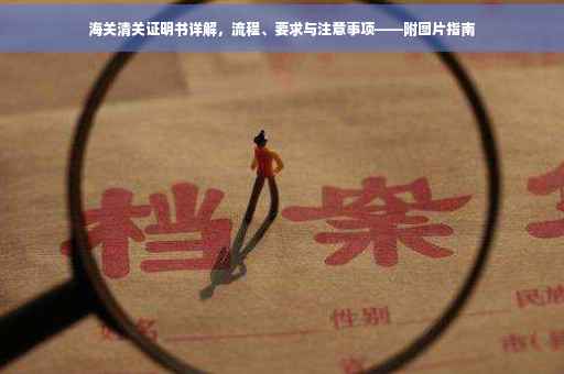 海关清关证明书详解，流程、要求与注意事项——附图片指南