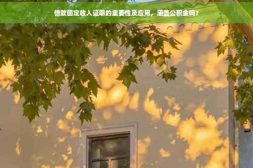 借款固定收入证明的重要性及应用，涵盖公积金吗？