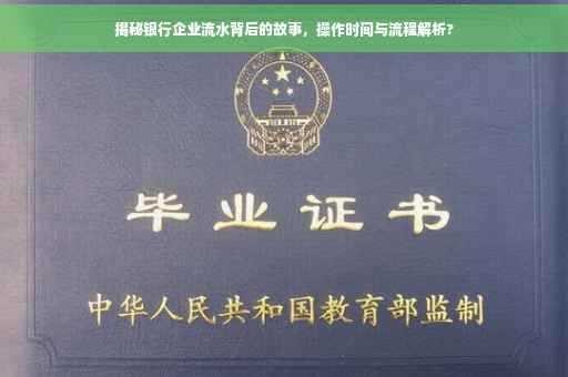 揭秘银行企业流水背后的故事，操作时间与流程解析?