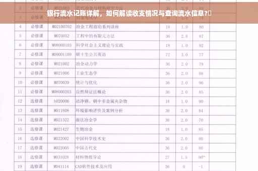 银行流水记账详解，如何解读收支情况与查询流水信息?✨