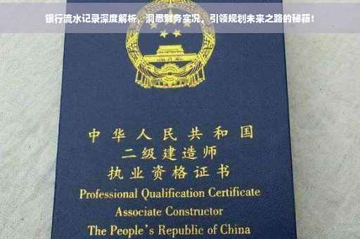 银行流水记录深度解析，洞悉财务实况，引领规划未来之路的秘籍！