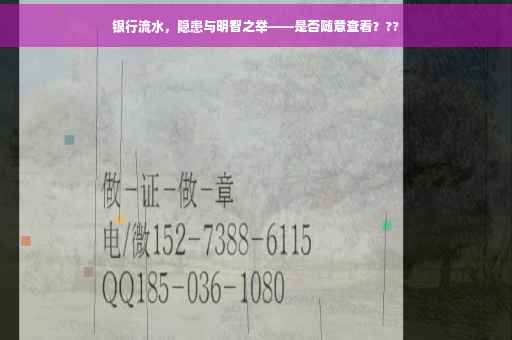 银行流水，隐患与明智之举——是否随意查看？??