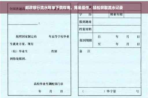 邮政银行流水账单下载指南，简易操作，轻松获取流水记录