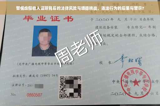 警惕虚假收入证明背后的法律风险与道德挑战，违法行为的后果与警示?