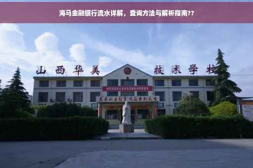 海马金融银行流水详解，查询方法与解析指南??