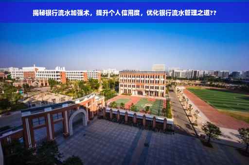 揭秘银行流水加强术，提升个人信用度，优化银行流水管理之道??