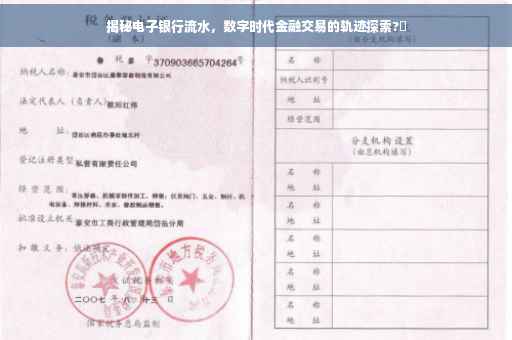 揭秘电子银行流水，数字时代金融交易的轨迹探索?✨
