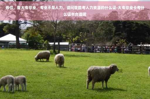 各位，我大专毕业，专业不是人力，请问我能考人力资源的什么证-大专毕业卡考什么证书合适呢