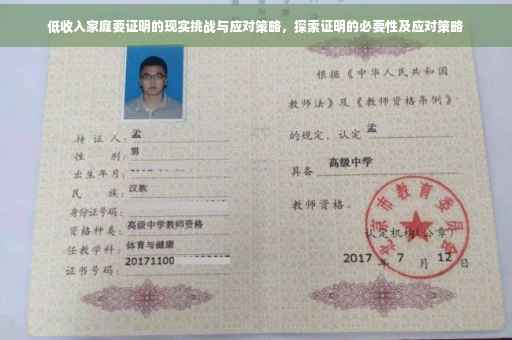 低收入家庭要证明的现实挑战与应对策略，探索证明的必要性及应对策略