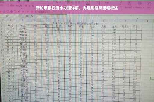 新加坡银行流水办理详解，办理周期及流程概述