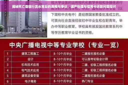揭秘死亡查银行流水背后的真相与争议，遗产处理与信用卡还款问题探讨