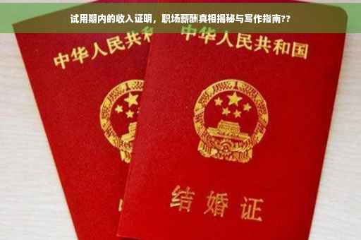 试用期内的收入证明，职场薪酬真相揭秘与写作指南??