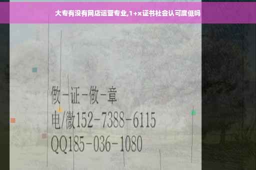 大专有没有网店运营专业,1+x证书社会认可度低吗