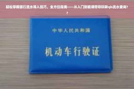 轻松掌握银行流水导入技巧，全方位指南——从入门到精通带您玩转qb流水查询??