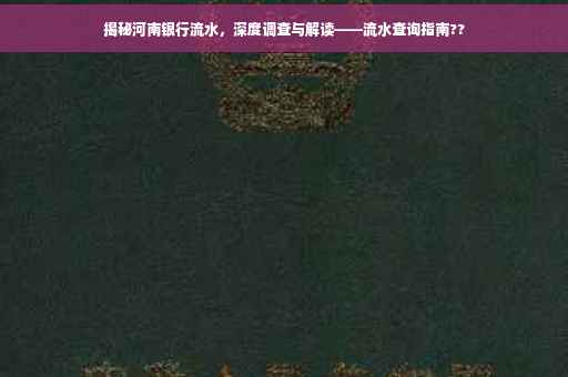 揭秘河南银行流水，深度调查与解读——流水查询指南??