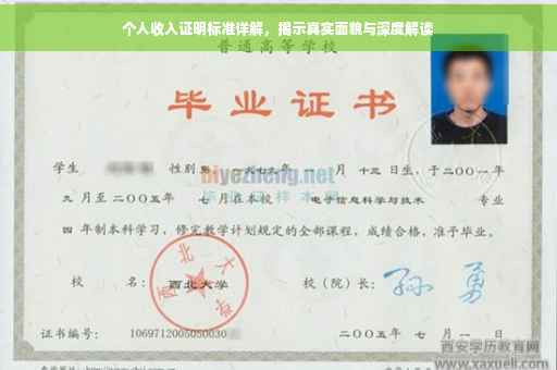 个人收入证明标准详解，揭示真实面貌与深度解读