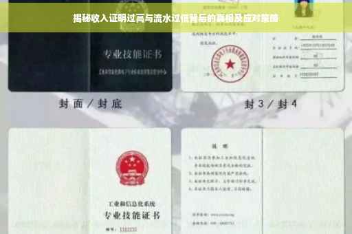 揭秘收入证明过高与流水过低背后的真相及应对策略