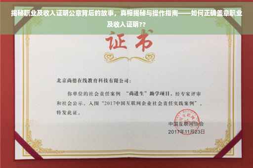揭秘职业及收入证明公章背后的故事，真相揭秘与操作指南——如何正确盖章职业及收入证明??