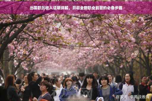 出国职历收入证明详解，开启全新职业前景的必备步骤