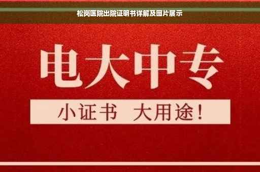松岗医院出院证明书详解及图片展示