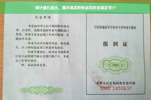 审计银行流水，揭示真实财务状况的关键环节??