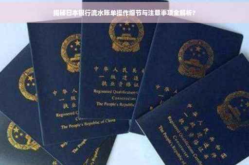 揭秘日本银行流水账单操作细节与注意事项全解析?