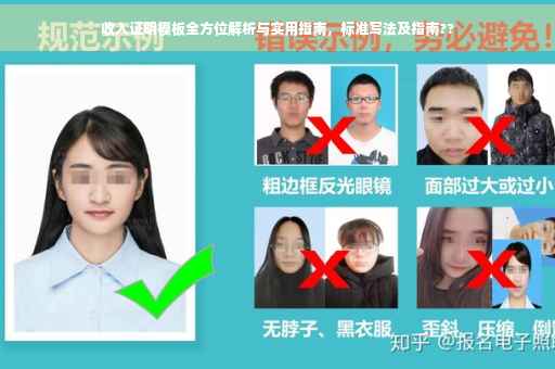 收入证明模板全方位解析与实用指南，标准写法及指南??
